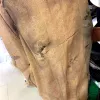 هيكل عظمي من القبعات مزود بالموسيقى والمصابيح، هيكل عظمي من الفزاعة Item Picture